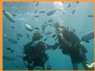 The A Madreperla Dive Center