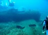 The Thalassa Immersion Dive Center