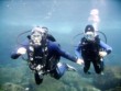 Alpha Diving Dive Center