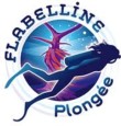 The Flabelline Dive Center