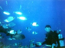 The CESM Dive Center