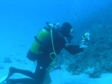 Côte d'Azur : plongée sous-marine