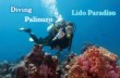 The Lido Paradise Dive Center