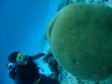JAPAN: Relatively unknown great destination for diving