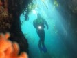 NORWAY: Home of the best wreck diving in Europe