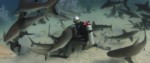 The right SCUBA gear for shark dives